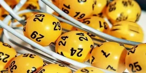 247组选方案时需要注意的事项-Macauslot